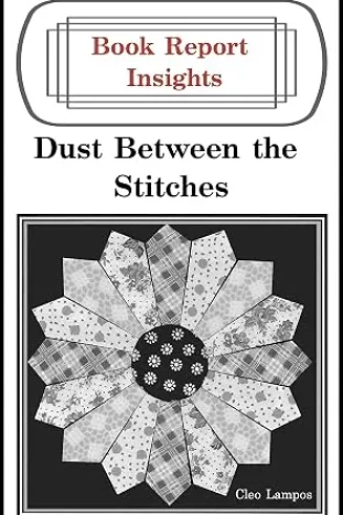 Dust Between the Stitches
